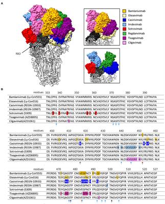 Optimization of Anti-SARS-CoV-2 Neutralizing Antibody Therapies: Roadmap to Improve Clinical Effectiveness and Implementation